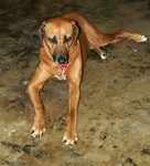 2Reese061805.JPG