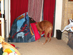 BrentTent122406-01.jpg