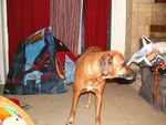 BrentTent122406-04.jpg