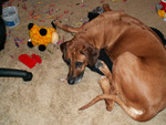 Reese011607-01.jpg