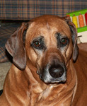 Reese011607-02.jpg