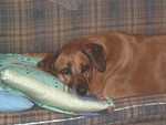 Reese031407-02.jpg