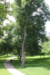 03.jpg