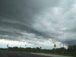 Highlight for Album: Nature in South Texas