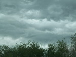 100_4787.jpg