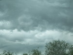 100_4788.jpg