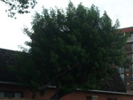 100_4789.jpg