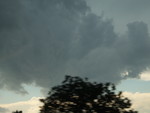 100_4791.jpg