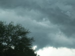 100_4793.jpg