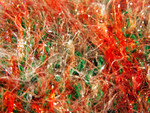 PICT3618.JPG