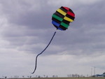 SNC00005