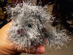 chinchilla1.jpg