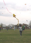80 Zilker Kite Fest 06