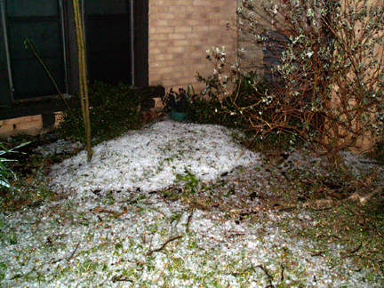 Hailstones in the Frontyard: These took nearly 3 days to fully melt, and in 70F+ temperatures.