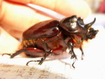 PICT4026.JPG