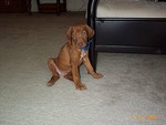Connor2_071400.jpg
