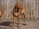Connor 010601.jpg