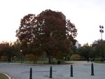 100_3009.JPG