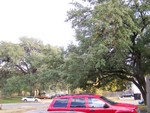 100_2960.JPG