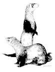 B&W.jpg