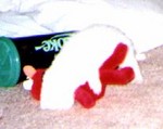 PINA-N-ELMO2.JPG