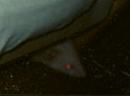 Pina peeking.jpg