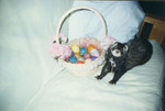easter2-big.jpg
