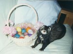 easter2-small.jpg