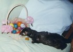 easter3-small.jpg