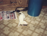 two-small.jpg