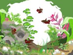Photoshop: Planted Tank