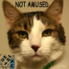 notamused.jpg