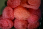 IMG_0863.JPG