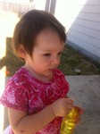 Highlight for Album: 24-36mos