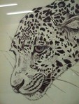 Leopard-Detail