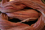 Robincat Handspun1.jpg