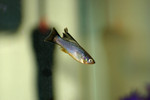 IMG_7027.JPG
