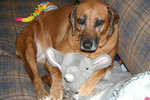 Reese111607-01.jpg