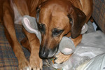 Reese111607-02.jpg
