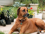 Reese2_051205.jpg
