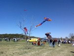 Highlight for Album: Zilker Kite Festival 2007