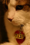 IMG_9147.JPG