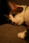 IMG_9160.JPG