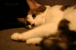 IMG_9163.JPG