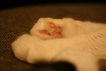 IMG_9171.JPG