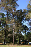 23 TRF102607.jpg